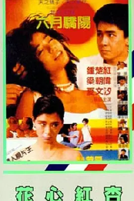 综合婷婷
