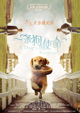 调教 vk