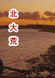 一个放荡的大婶