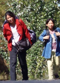 免费网站成人