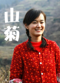 二区在线视频