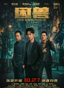 看b站a8直播魅影怎么样