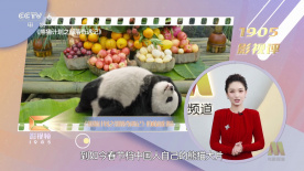 久久中文网中文字幕