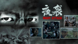 国内精品免费午夜毛片